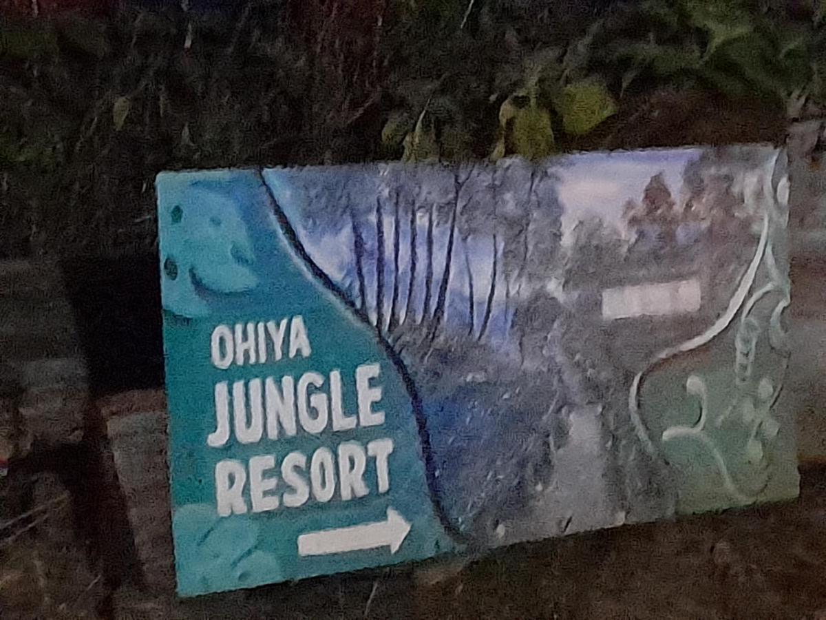 Ohiya Jungle Resort Exterior foto